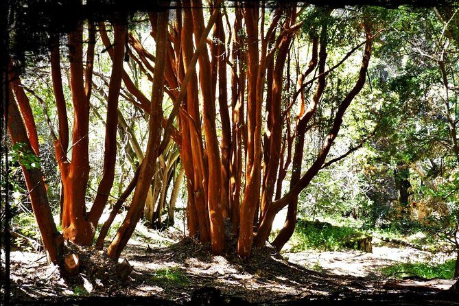 10 Secrets of Bariloche, Nahuel Huapi, and Patagonia - Centro Civico: Civic Center stories and the Museum of Patagonia area
