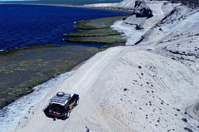 3 hour 4x4 tour around Puerto Madryn - Puerto Madryn 4x4: Why this half-day feels different