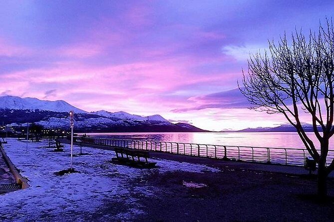 5-Hour National Park + City tour - USHUAIA (Private Tour) - Key Highlights You’ll Feel Immediately