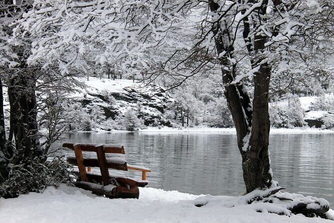 5-Hour National Park + City tour - USHUAIA (Private Tour) - A Private Ushuaia Day That Works With Cruise Schedules