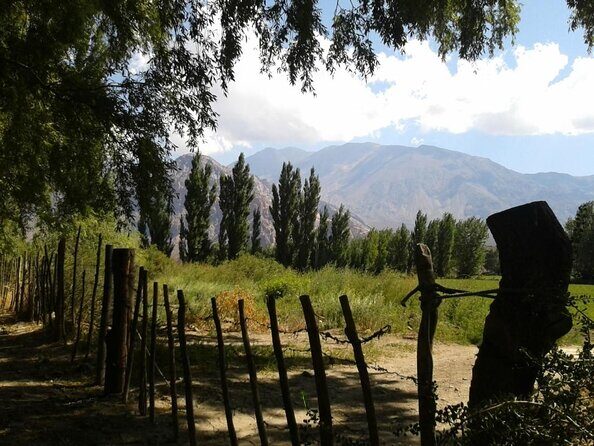Andes Day Trip from Mendoza Including Aconcagua, Uspallata and Puente del Inca - The Andes Day Trip From Mendoza: a long ride with big payoffs