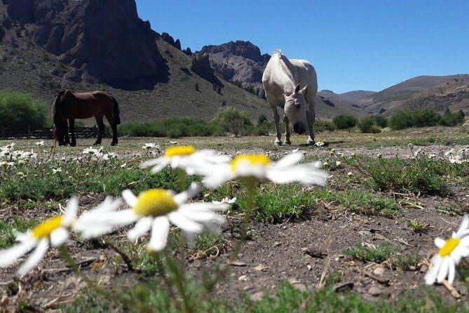 Bariloche Horseback Riding & Traditional Argentine Barbecue Tour - Leaving Town for San Ramón: the coach ride and first snacks