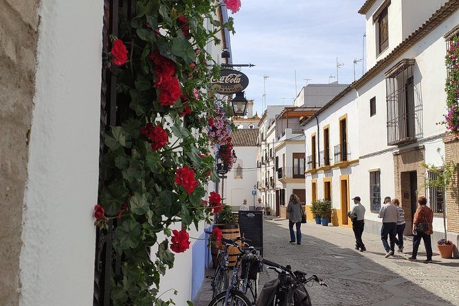 Bike Tour Córdoba - Alcázar de los Reyes Cristianos: power, walls, and how the city changes