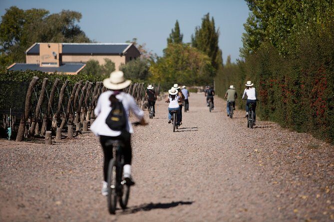 Bike Tour in Mendoza Wine Country - Riding Through Mendoza Wine Country: what the 10 km bike day really feels like