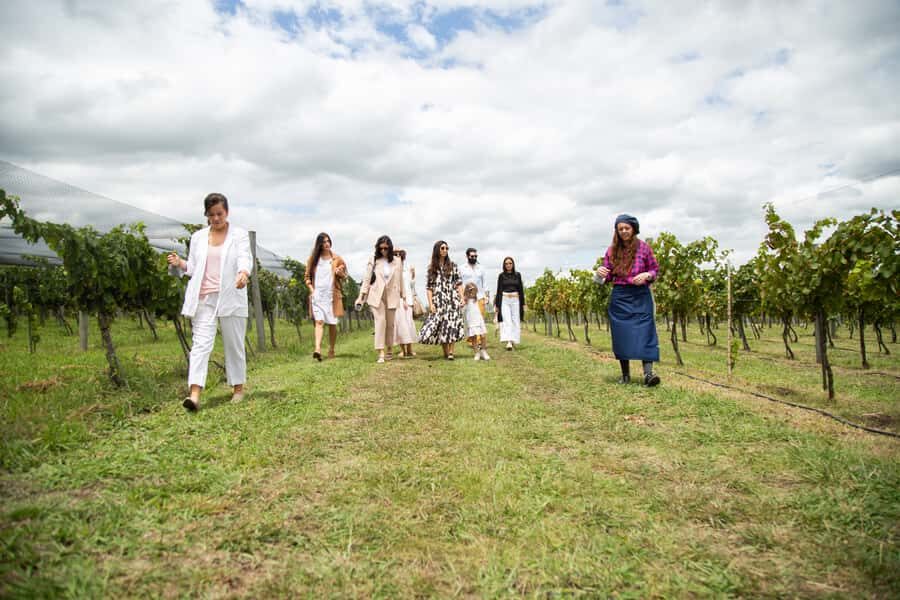 Buenos Aires: Wine Tasting and Lunch at Bodega Gamboa - What to Pack for a Rain-or-Shine Vineyard Day