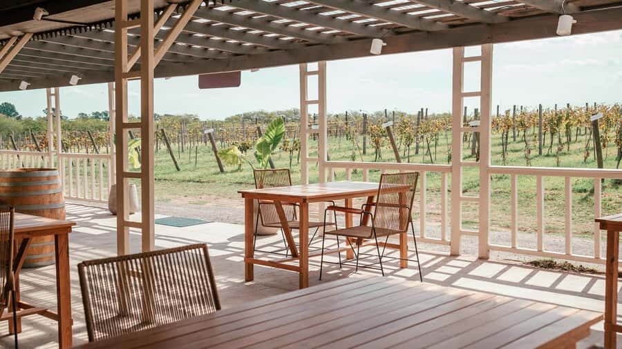 Buenos Aires: Wine Tasting and Lunch at Bodega Gamboa - Pickup, Minivan Comfort, and the Real 7-Hour Day