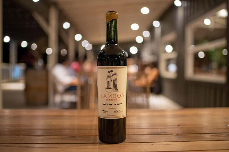Buenos Aires: Wine Tasting and Lunch at Bodega Gamboa - Price and Value: Is $169 Worth It?