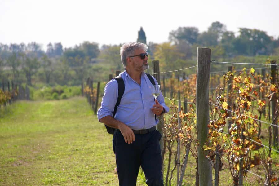 Buenos Aires: Wine Tasting and Lunch at Bodega Gamboa - Getting There: Transfer Included, But Uber Can Work