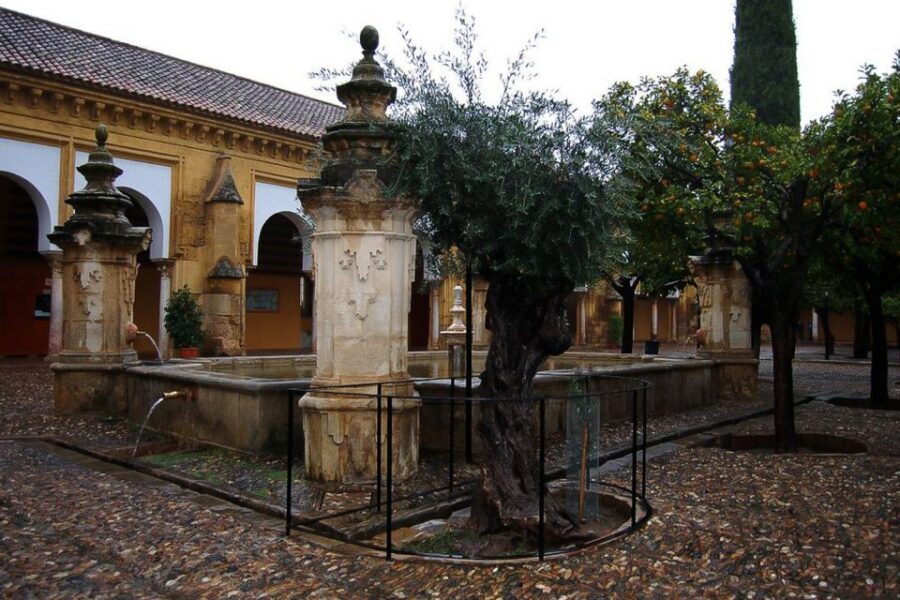 Cordoba: 3-Hour Private Tour - Tickets, skip-the-line help, and what happens on the ground