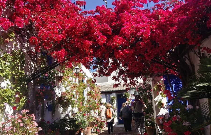 Cordoba Courtyards by Bike, Electric Bike - Four courtyards of Córdoba: how the styles contrast