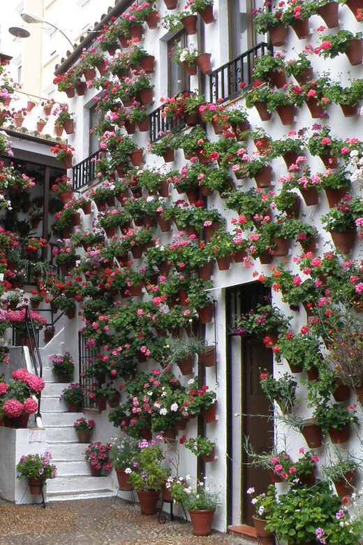 Cordoba Courtyards by Bike, Electric Bike - How the patios tradition works in Córdoba (and why the guide’s context matters)