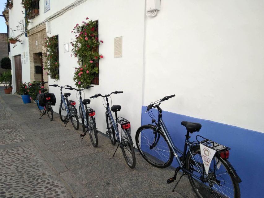Córdoba Daily Highlights Bike Tour - Value check: why $34 feels fair for what you get