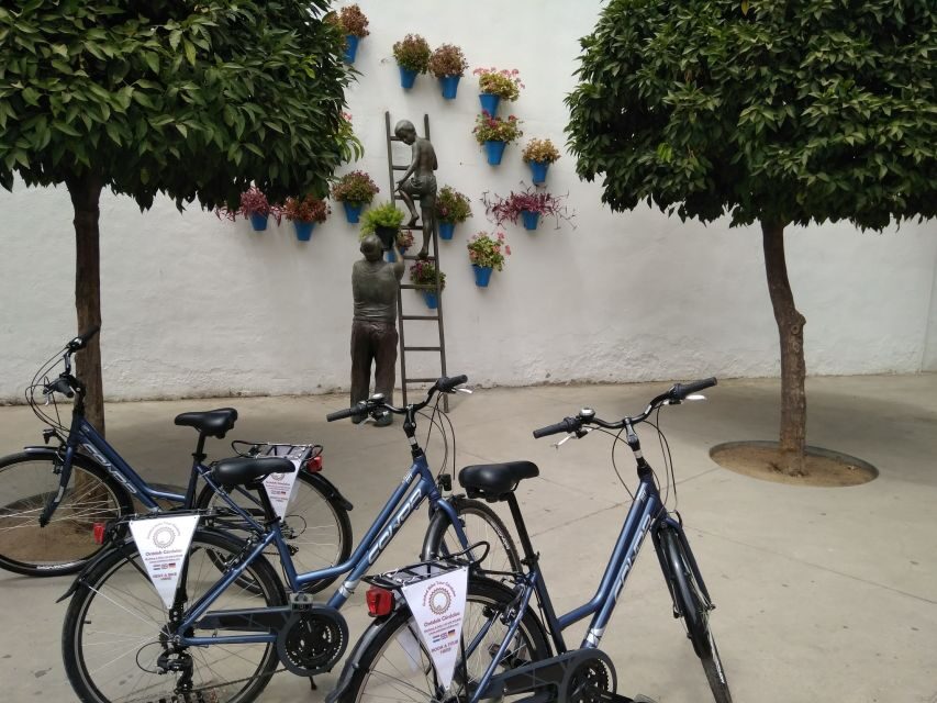 Córdoba Daily Highlights Bike Tour - Who should book this tour, and who might not