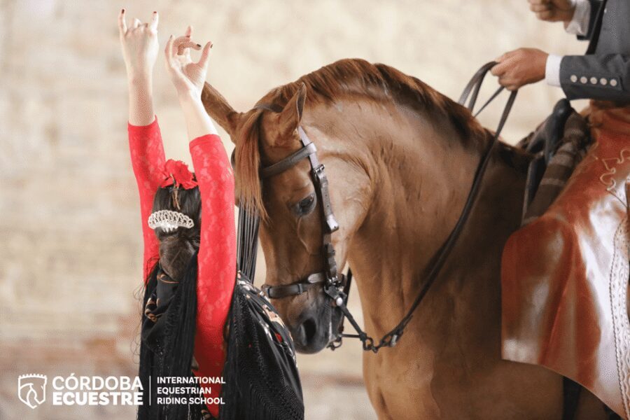 Cordoba: Equestrian Show General Entry - Quick hits before you go