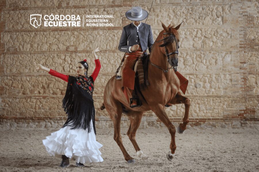 Cordoba: Equestrian Show General Entry - Andalusian horses: why the show leans so hard on elegance