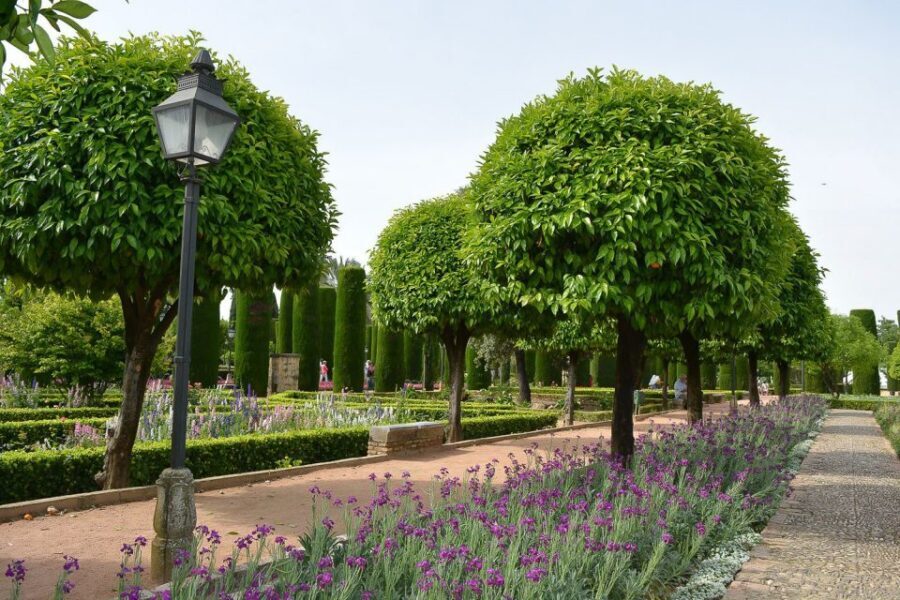 Cordóba: Gardens & Fortress of Catholic Monarchs Guided Tour - The restoration reality: when the fortress interior is closed