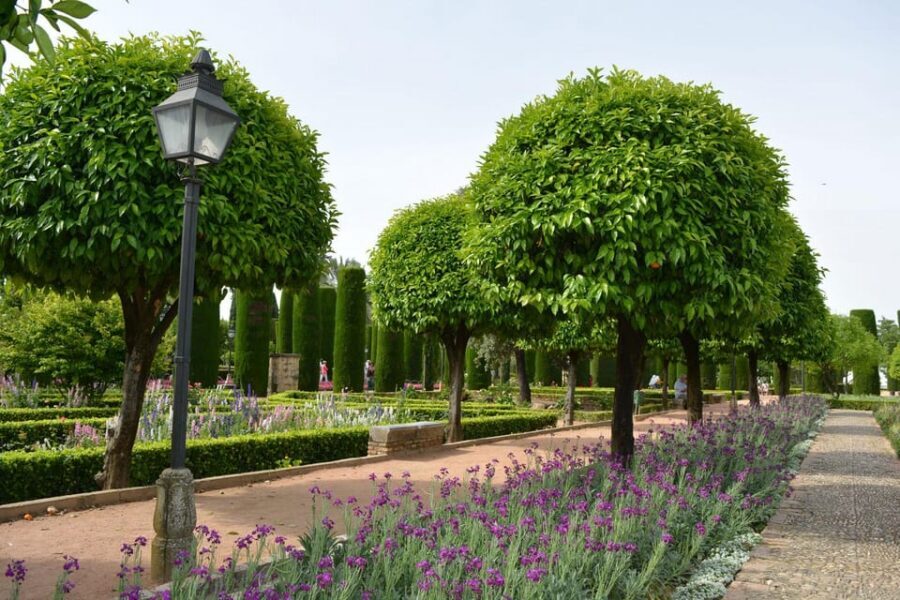Cordoba: Monuments Walking Tour - Value Check: is €/$66 worth it for Cordoba’s top sites?