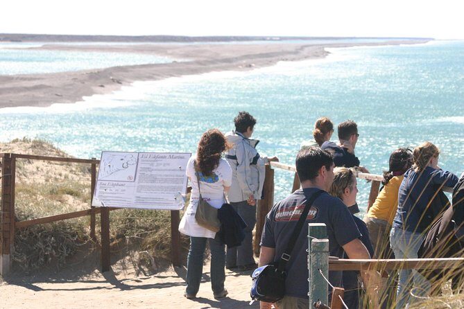 Cruise Shore Excursion Peninsula Valdes - Pto Madryn - Patagonia - Argentina - Caleta Valdes: penguins, elephant seals, and occasional orcas