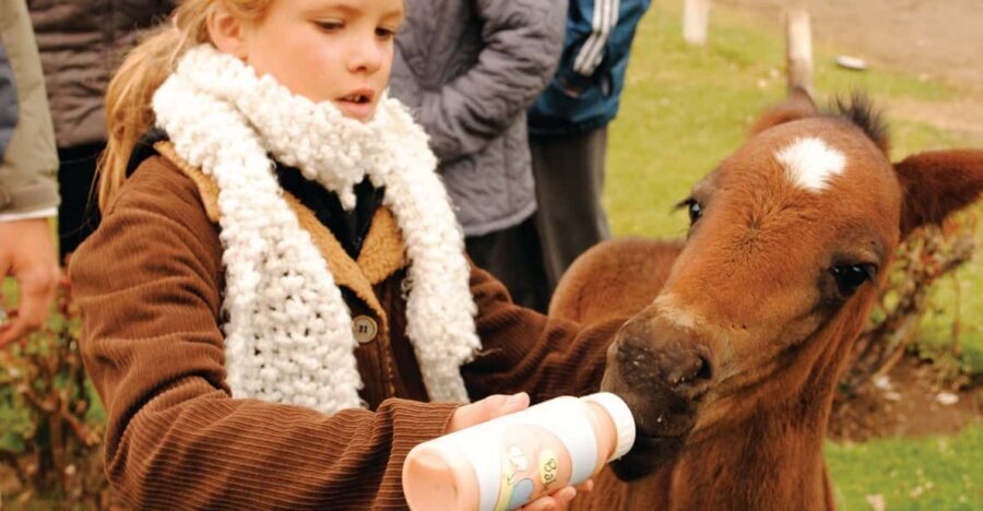 El Calafate: Estancia 25 de Mayo Tour with Dinner & Transfer - Lamb confit tasting and ranch meals at El Quincho