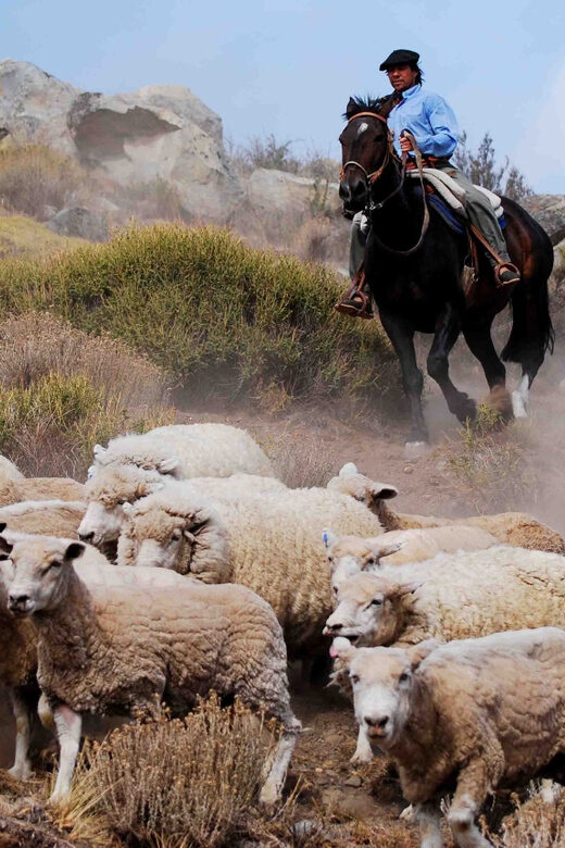 El Calafate: Estancia 25 de Mayo Tour with Dinner & Transfer - Folkloric show after dinner: how the evening ends