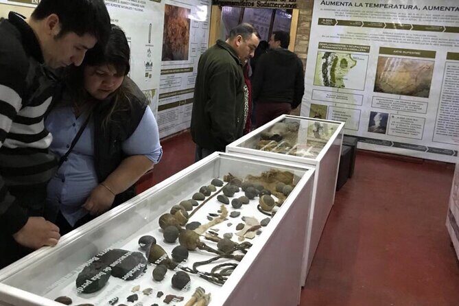 El Calafate History Museum Tour - 100 million years in one building: dinosaurs, mega-mammals, and ice-age change