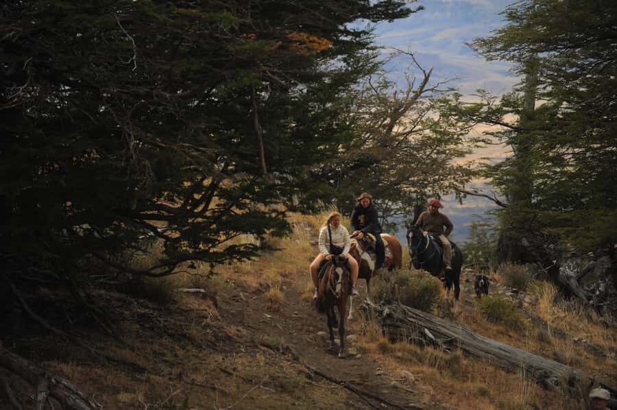 El Calafate: Horseback riding in Cerro Frias - The lenga forest descent: where the quiet part of Patagonia happens