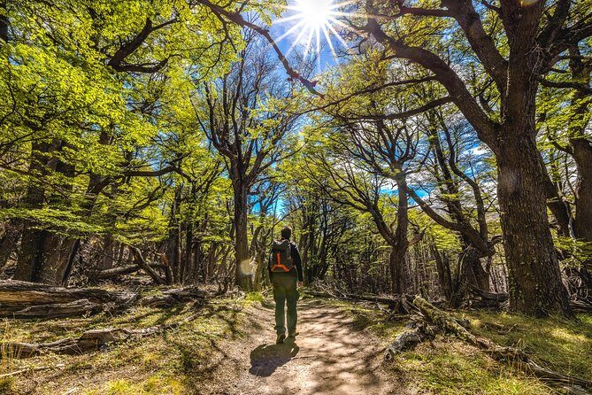 El Chaltén with Trekking from El Calafate - 7:30 pickup and the 220 km ride: planning for the road time