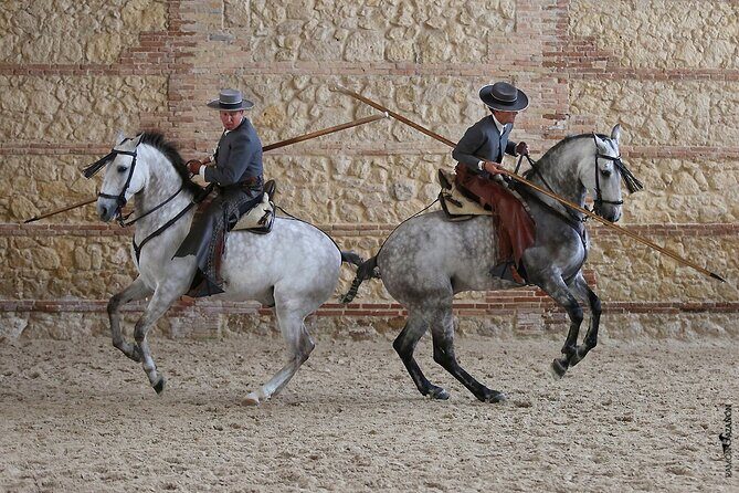 Equestrian Show Royal Stables of Córdoba - Value for money: is $22.23 worth it?