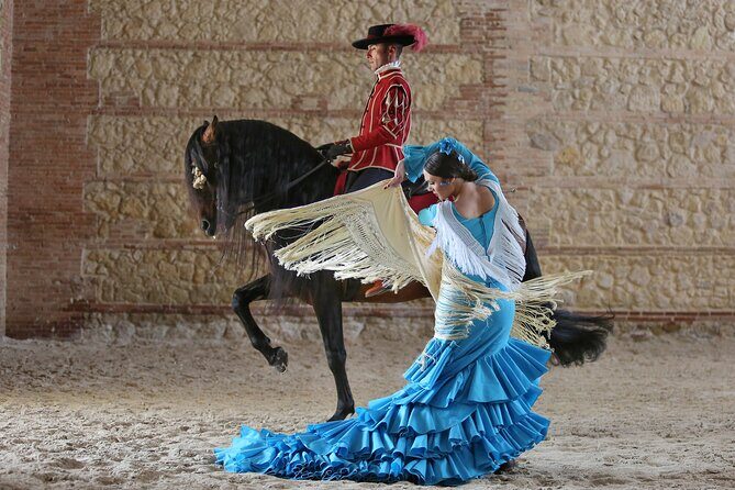 Equestrian Show Royal Stables of Córdoba - Getting in: entrances can be confusing, and queues are real