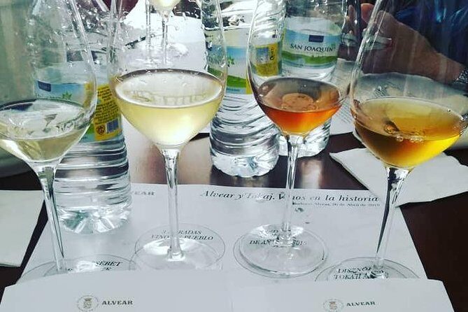 Evening Wine Tasting Córdoba - Tapas Pairings That Teach Your Palate Fast