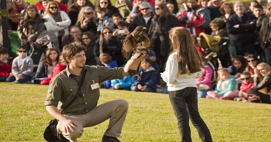 From Buenos Aires: Full-Day Temaiken Eco Park - Key highlights at a glance