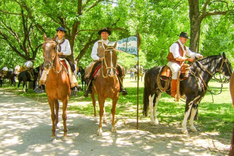 From Buenos Aires: Gaucho and Ranch Day Tour - Folklore show, gaucho horse moments, and the Premium upgrade
