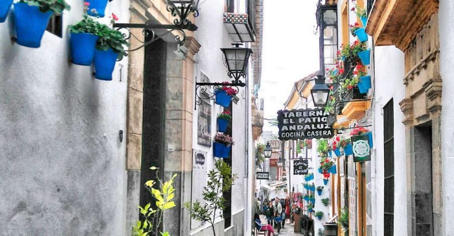 From Costa del Sol: Day Trip to Cordoba Free Time - Coach Ride From Costa del Sol: How the Guide Sets You Up