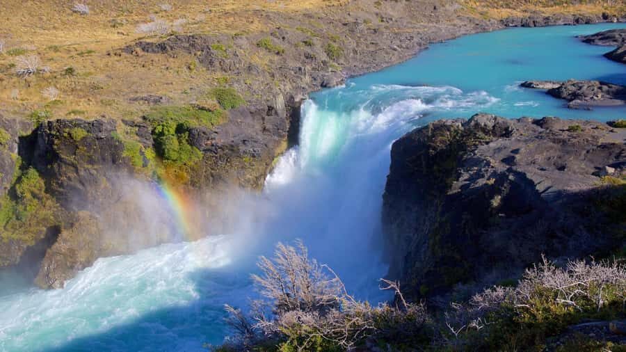 From El Calafate: Torres del Paine Full Day Tour - Price and value: what you pay for at $229
