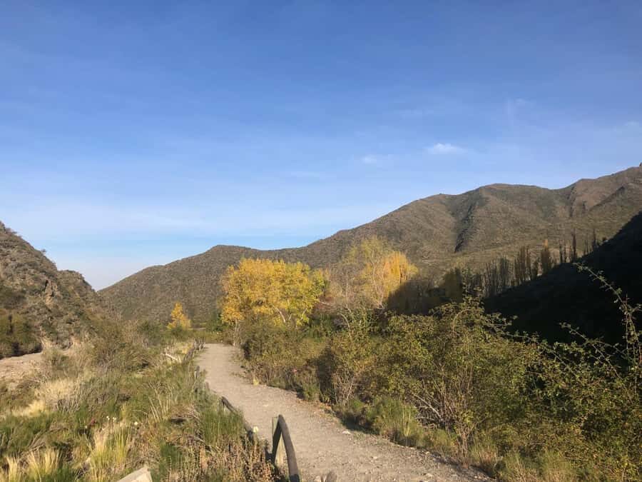 From Mendoza: Andes High Mountain Full-Day Tour - Mendoza to the high Andes: what this day trip really feels like