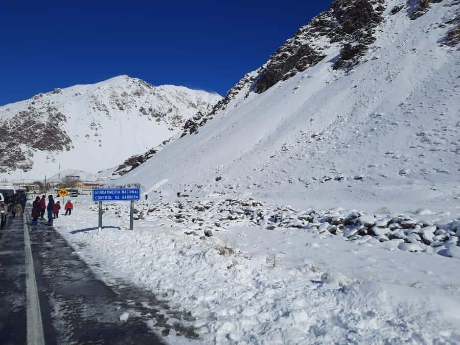 From Mendoza: Andes High Mountain Full-Day Tour - Potrerillos Dam: your first major “wow” stop