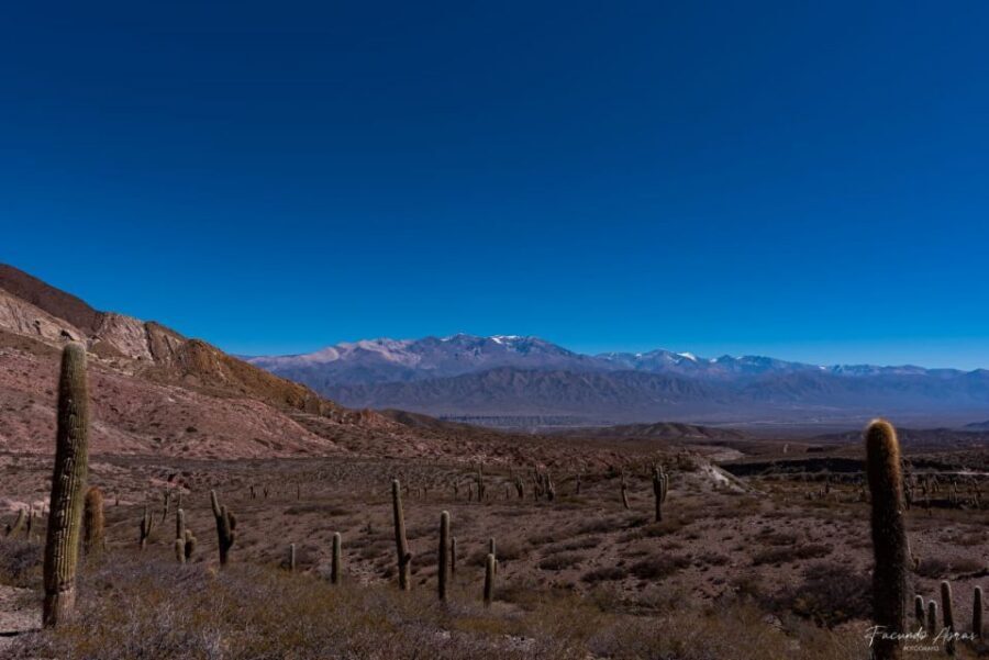 From Salta: 4-Day Trip in Salta Province & Salinas Grandes - Day 4: Hornocal’s Hill of 14 Colors and Humahuaca’s Hill of Seven Colors