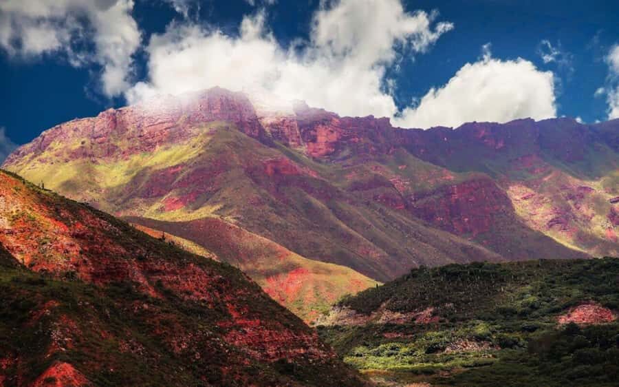 From Salta: Cachi and Los Cardones National Park Tour - Los Cardones National Park: the cardones are the show