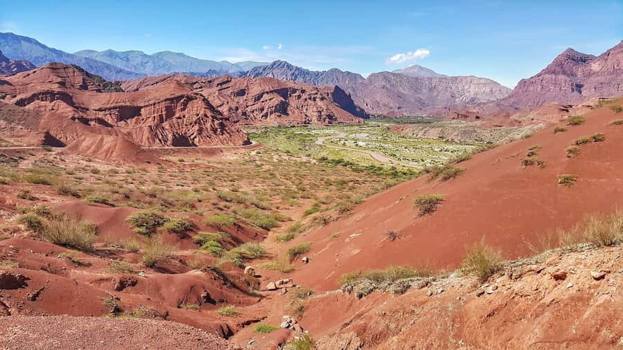 From Salta: Cafayate Day Trip with Wine Tasting - The Most Important Variable: Your Guide and Driver