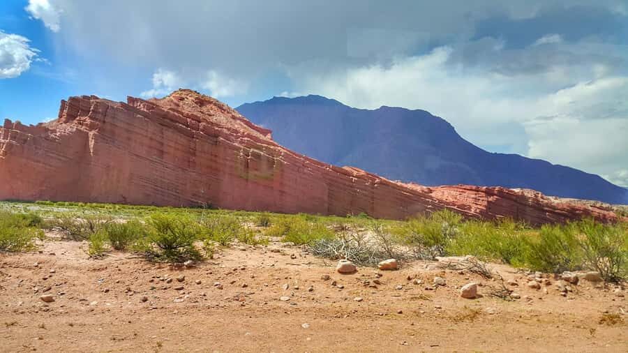 From Salta: Cafayate Day Trip with Wine Tasting - Price and Value at Around $40