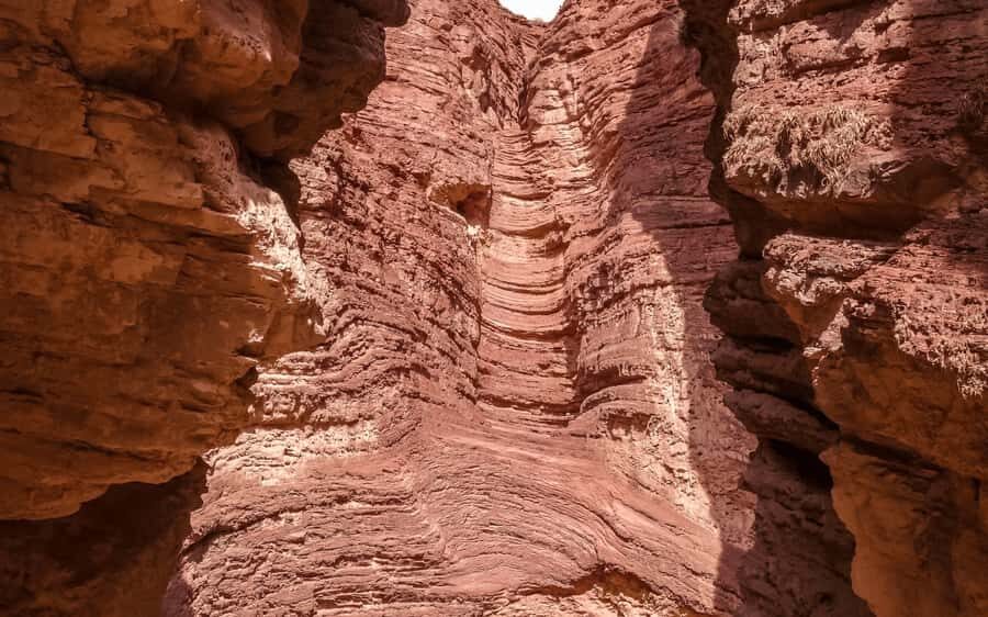 From Salta: Cafayate, land of wines and imposing ravines - Should you book this tour or go DIY?
