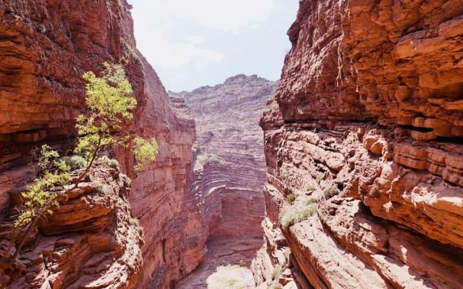 From Salta: Cafayate, land of wines and imposing ravines - Cafayate time: the winery visit and what you’re actually buying