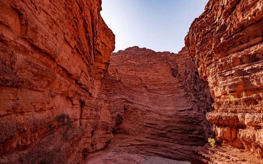 From Salta: Cafayate, land of wines and imposing ravines - Who should book this Salta to Cafayate day trip