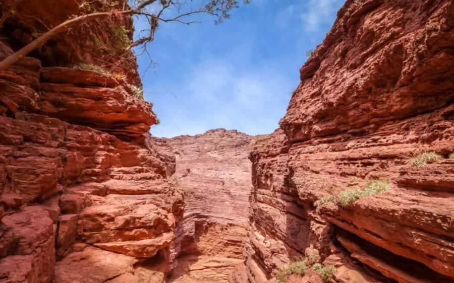 From Salta: Cafayate, land of wines and imposing ravines - Price and value: why $29 can work here