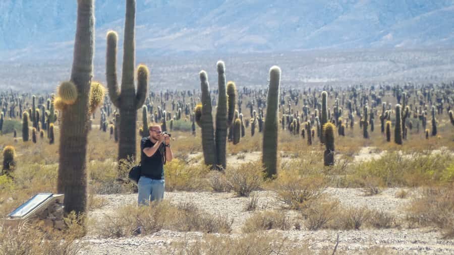From Salta: Full-Day Scenic Tour to Cachi - Lunch in Cachi: plan your budget and choose your pace