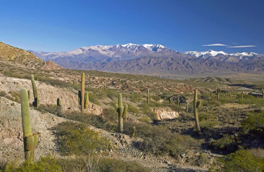 From Salta: Full-Day Scenic Tour to Cachi - Route 68 towns: Cerrillos, La Merced, and El Carril