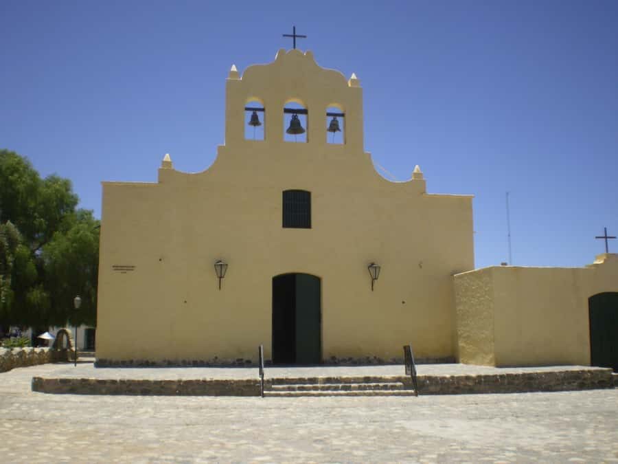 From Salta: Full-Day Scenic Tour to Cachi - Los Cardones National Park: cardon grande cactus at full scale