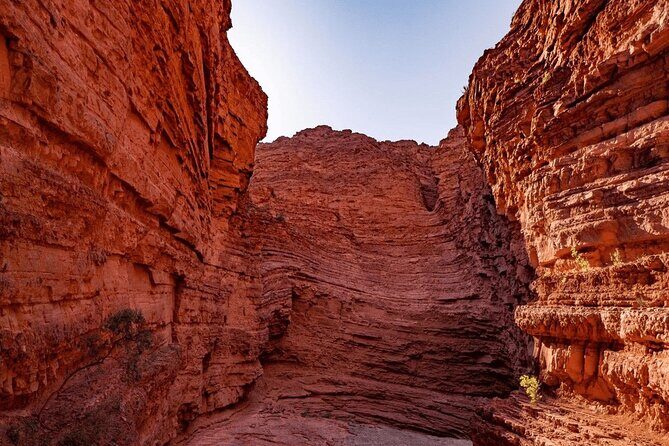 From Salta: Full-Day Tour to Cafayate, Land of Wines - Valle de Lerma and Las Conchas Gorge: Your Morning Introduction to the Region
