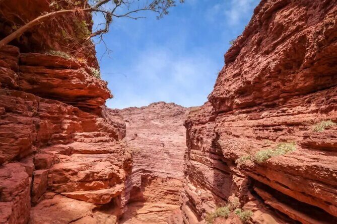 From Salta: Full-Day Tour to Cafayate, Land of Wines - Cafayate Winery Time: What You’ll Get (and What You Won’t)