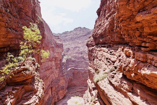 From Salta: Full-Day Tour to Cafayate, Land of Wines - The Return via Route 68: More Stops, Another Chance at the Best Views